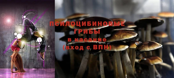 шишки Армянск