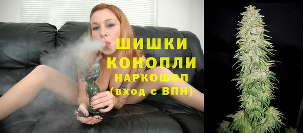 шишки Армянск