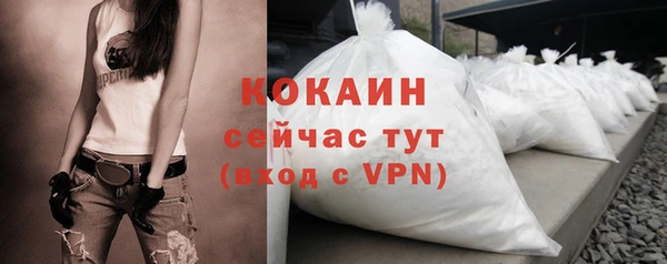 шишки Армянск