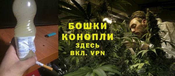 шишки Армянск