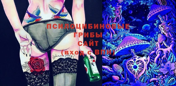 шишки Армянск