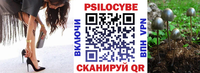 закладка  Можайск  Псилоцибиновые грибы Magic Shrooms 